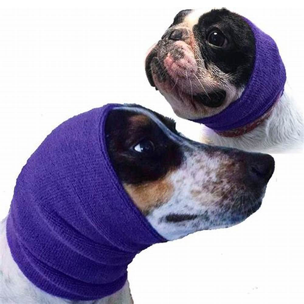 Happy Hoodie