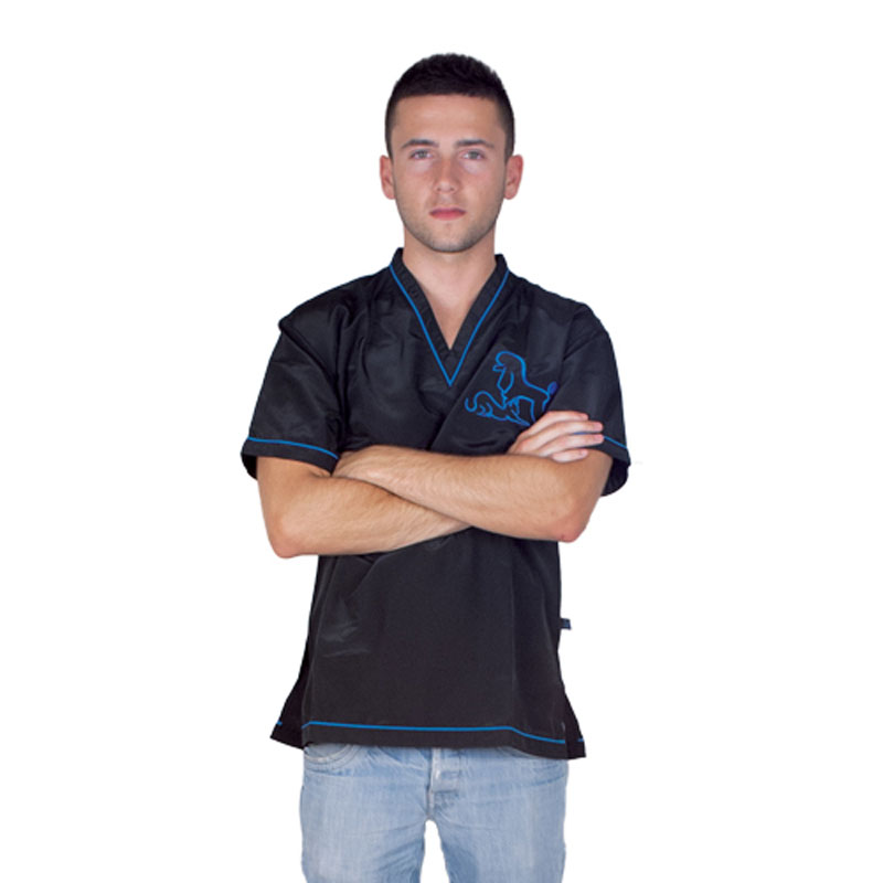Daniela V Neck Work Shirt - Blue