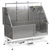 Aeolus Deluxe Electric Lift Dog Bath